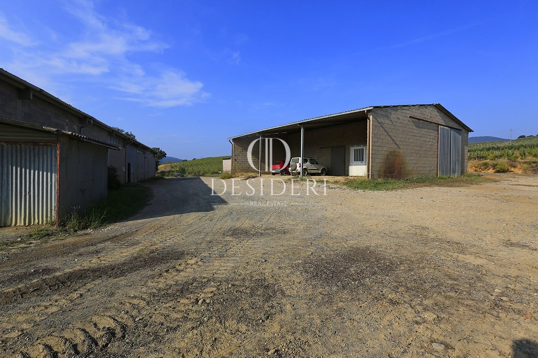 Estate in Gavorrano, Tuscany, Italy 2 - 15744285