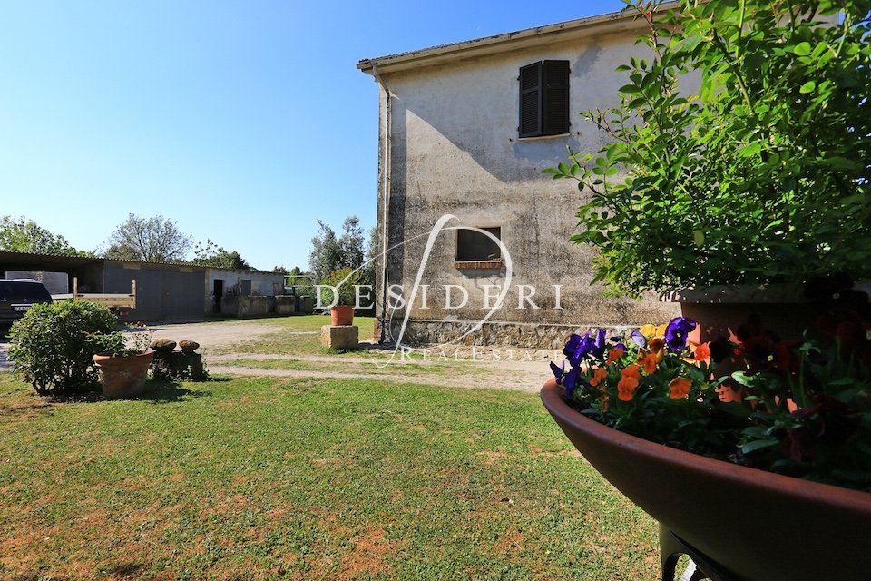 Estate in Magliano in Toscana, Tuscany, Italy 2 - 15744759