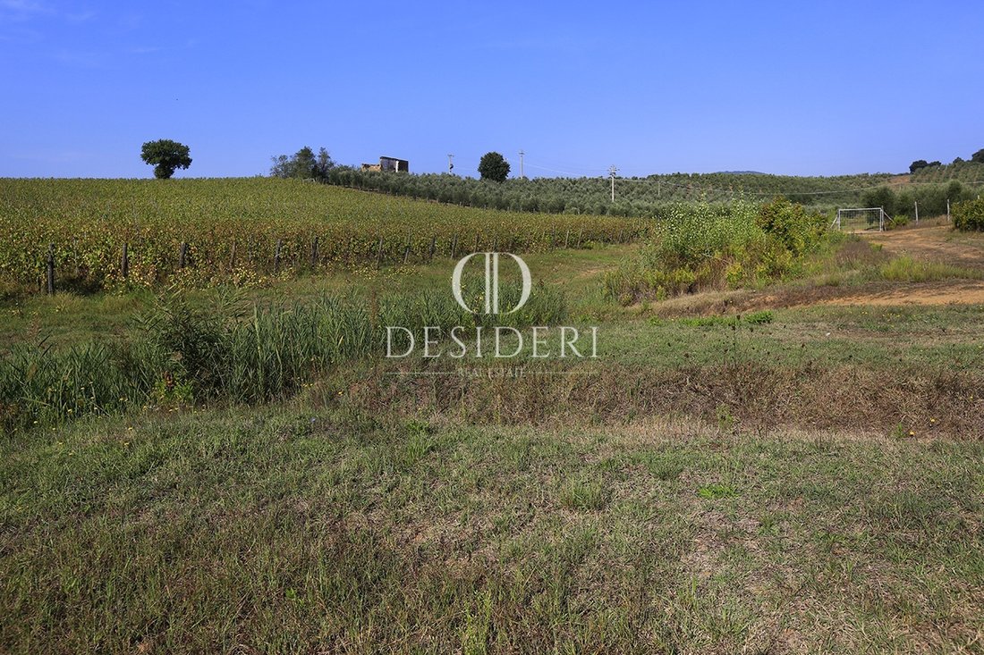 Land in Gavorrano, Tuscany, Italy 5 - 15743492