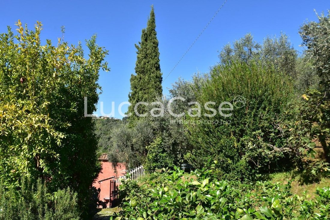 Country House in Massarosa, Tuscany, Italy 1 - 15744591