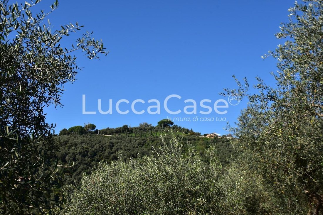 Country House in Massarosa, Tuscany, Italy 2 - 15744591