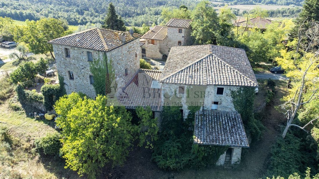 Maisons de campagne à Castellina in Chianti, Toscane, Italie 4 - 15743838