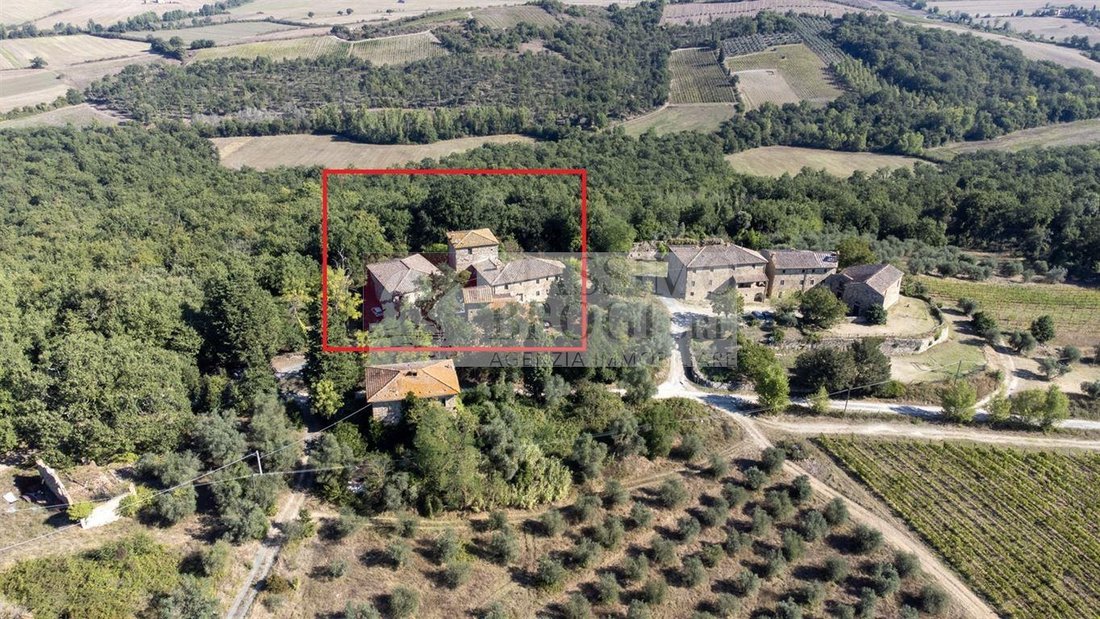 Maisons de campagne à Castellina in Chianti, Toscane, Italie 3 - 15743838