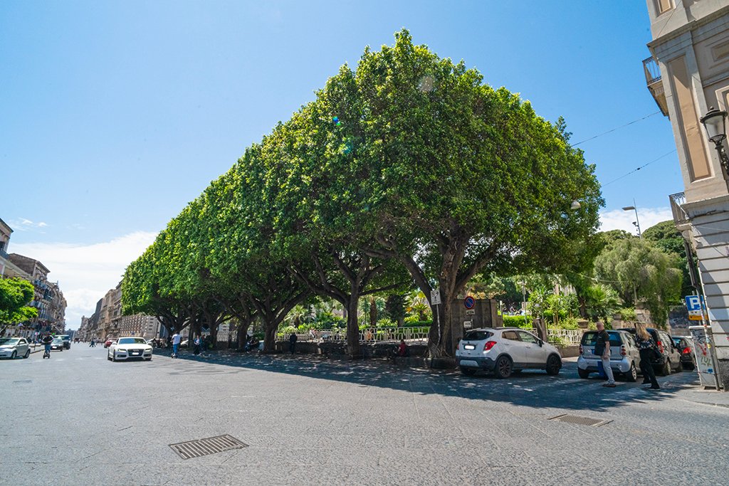 Apartment in Villa Bellini-Ospedale Garibaldi, Catania, Italy 4 - 15745226