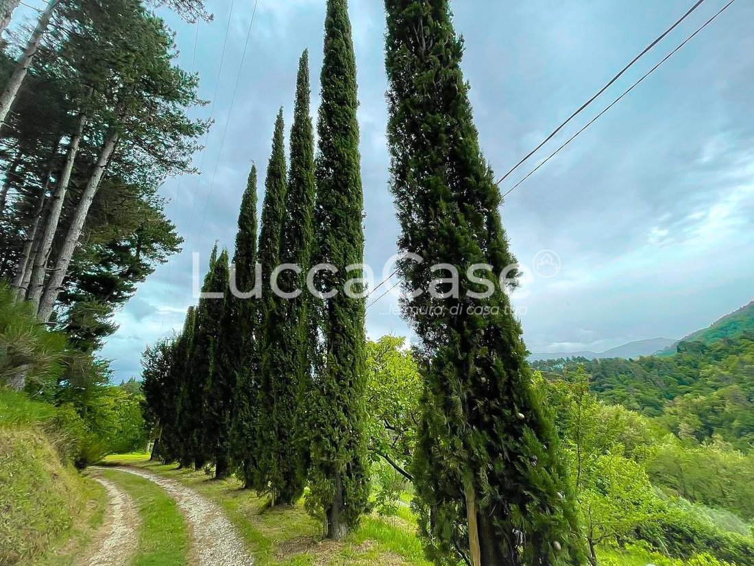Country House in Historic Center, Lucca, Tuscany 4 - 15744945