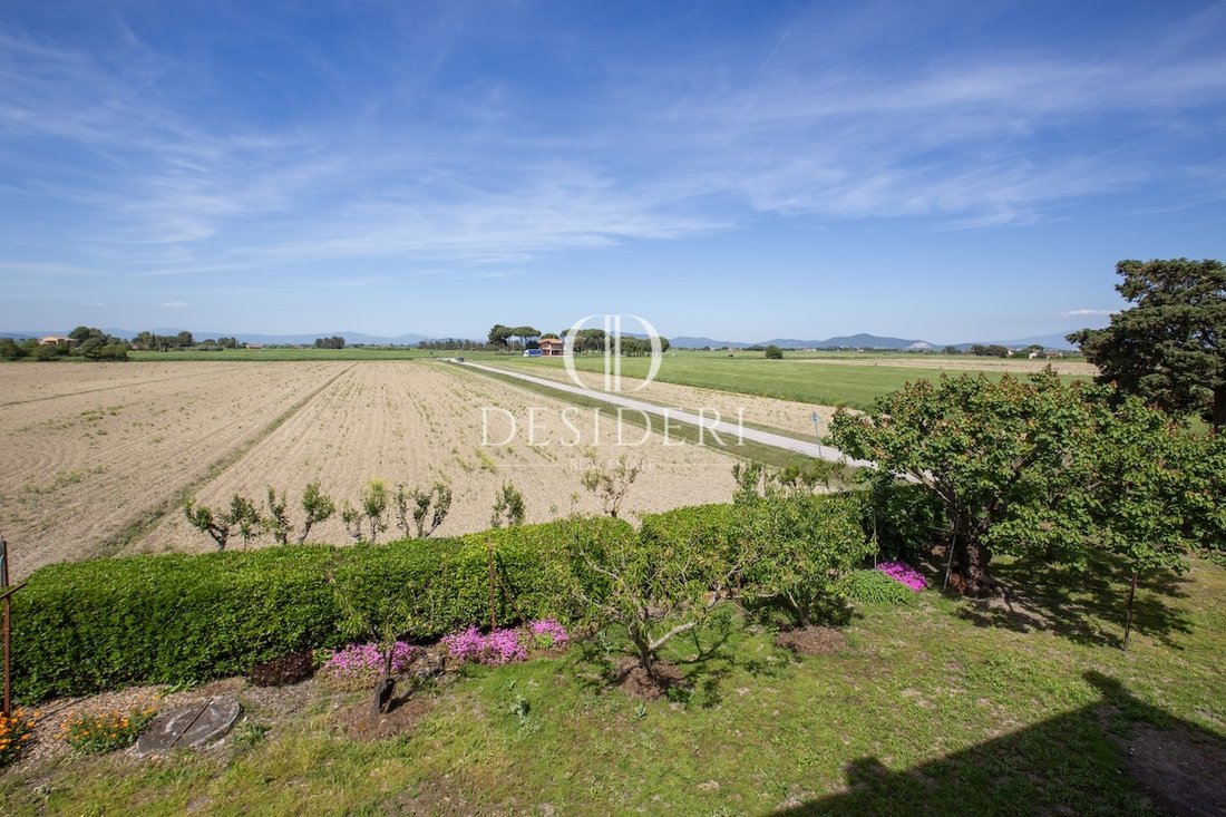 Land in Center, Grosseto, Tuscany 1 - 15745050