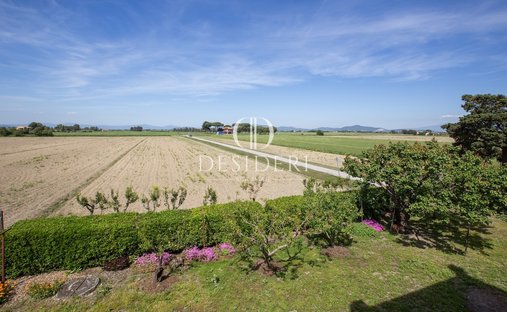 Land in Center, Grosseto, Tuscany 1