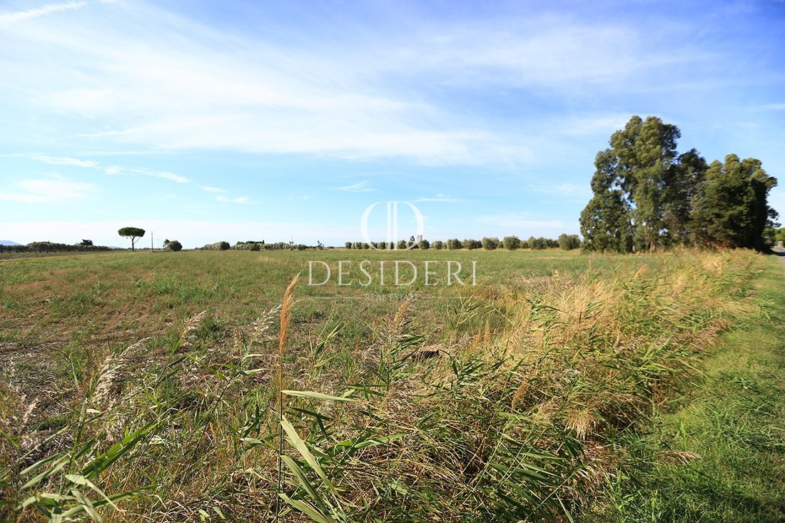 Land in Center, Grosseto, Tuscany 2 - 15745090