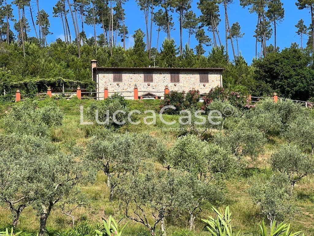 Country House in Buti, Tuscany, Italy 1 - 15745296