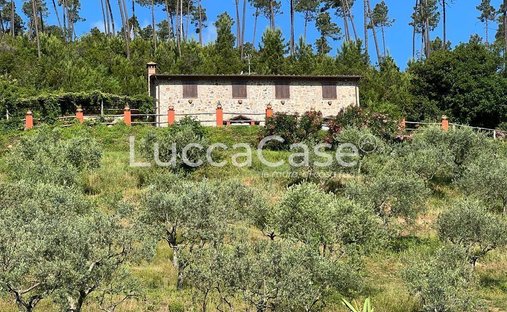 Country House in Buti, Tuscany, Italy 1