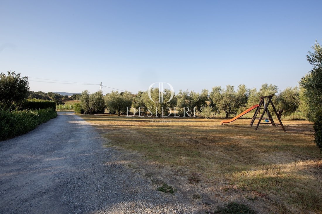 Estate in Center, Grosseto, Tuscany 3 - 15745055