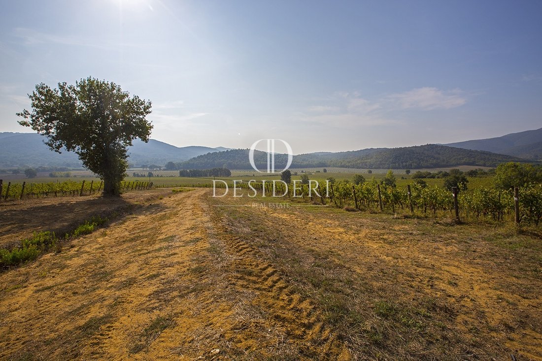 Country House in Gavorrano, Tuscany, Italy 1 - 15745023