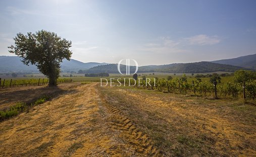 Country House in Gavorrano, Tuscany, Italy 1