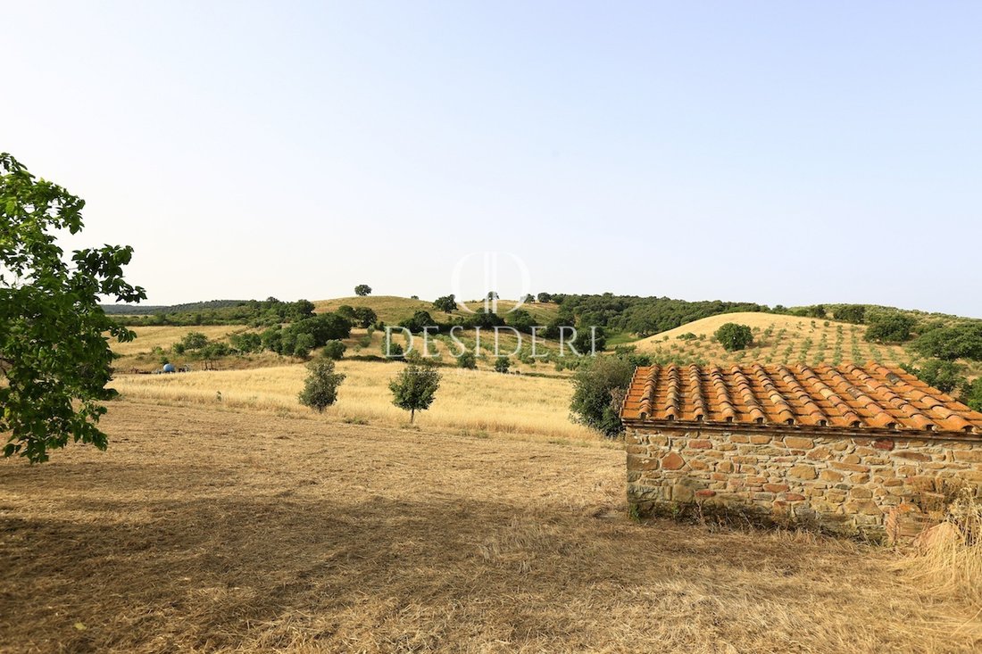 Country House in Center, Grosseto, Tuscany 2 - 15745076