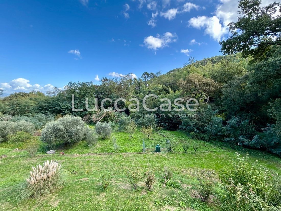 Villa in Center, Capannori, Tuscany 5 - 15745165