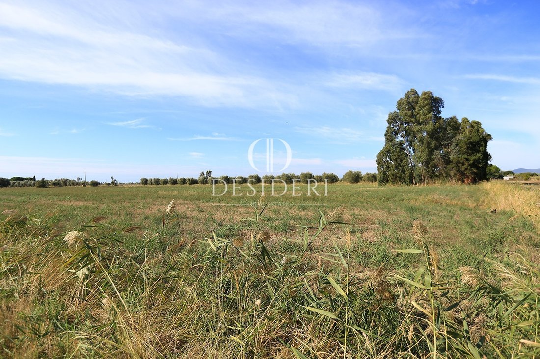 Land in Center, Grosseto, Tuscany 1 - 15745090