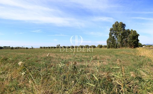 Land in Center, Grosseto, Tuscany 1