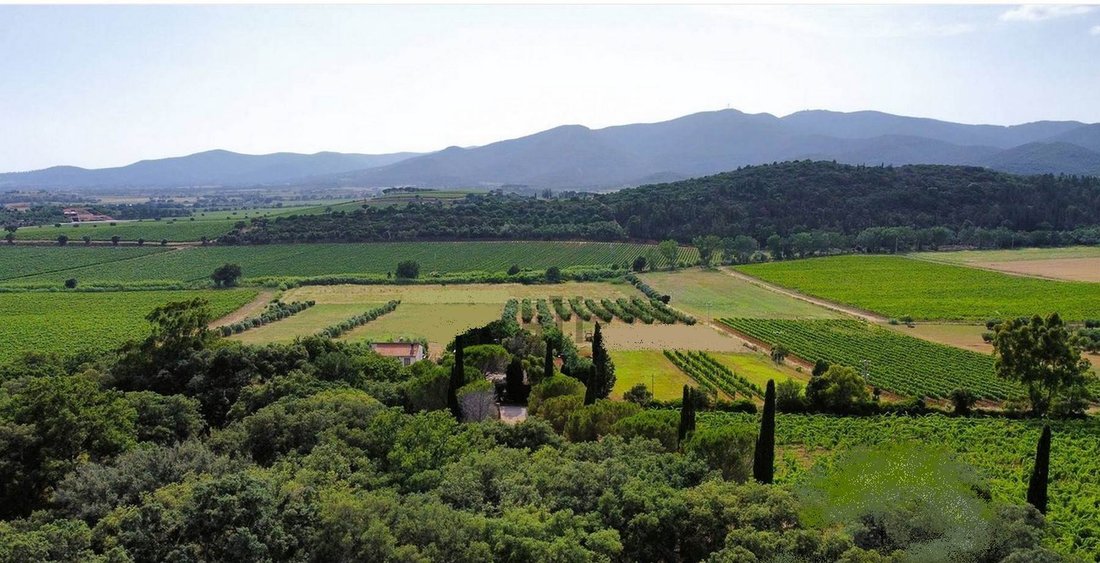 Farm Ranch in Tirli-Vetulonia-Buriano, Castiglione della Pescaia, Tuscany 3 - 13500470