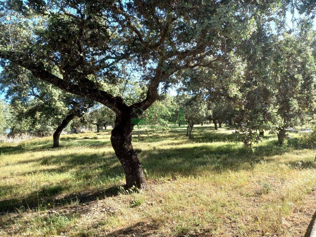 Finca in Fregenal de la Sierra, Extremadura, Spain 4 - 15746610