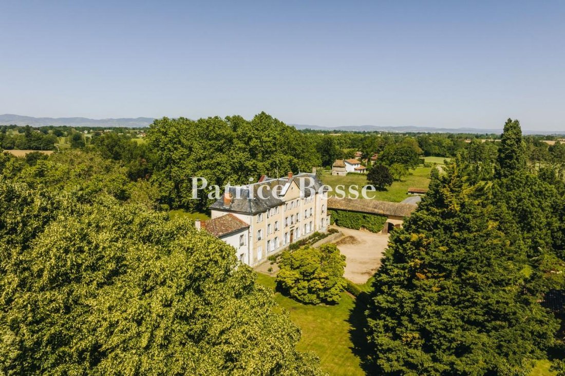 Château des Siècles: A Whisper of Bresse’s Golden Age in 6 Hectares of Timeless Splendor