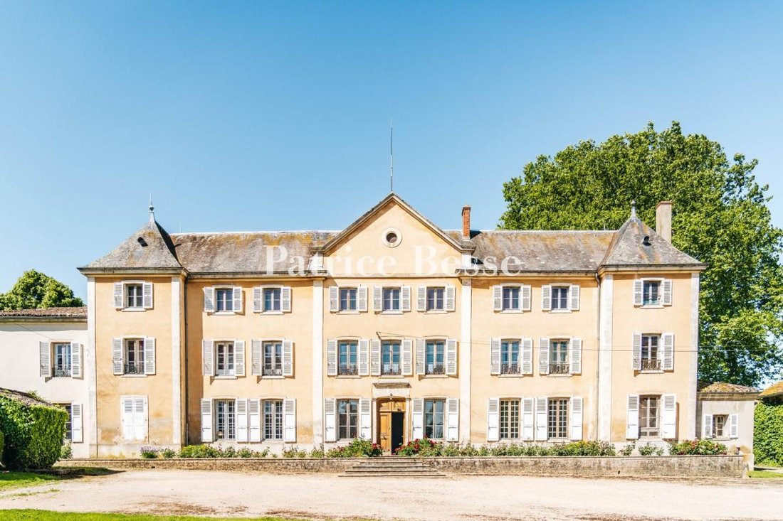 Château des Siècles: A Whisper of Bresse’s Golden Age in 6 Hectares of Timeless Splendor