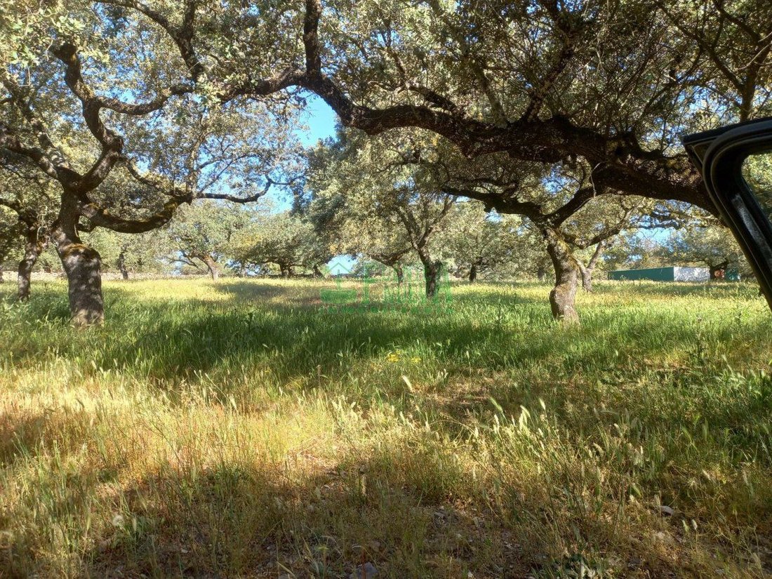 Finca in Fregenal de la Sierra, Extremadura, Spain 5 - 15746610