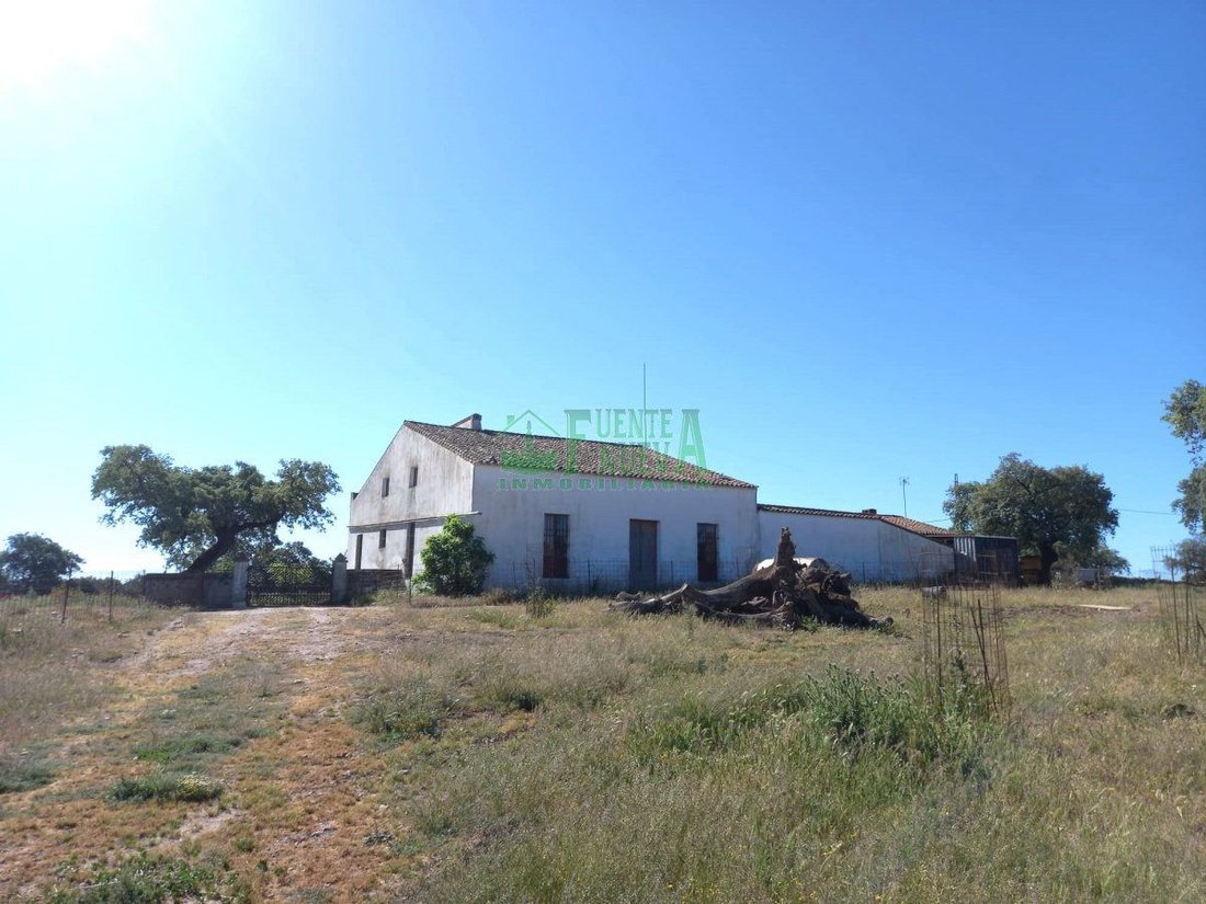Finca in Fregenal de la Sierra, Extremadura, Spain 1 - 15746610