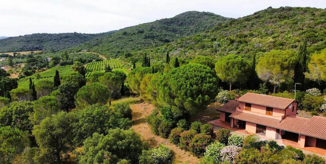 Farm Ranch in Tirli-Vetulonia-Buriano, Castiglione della Pescaia, Tuscany 2 - 13500470