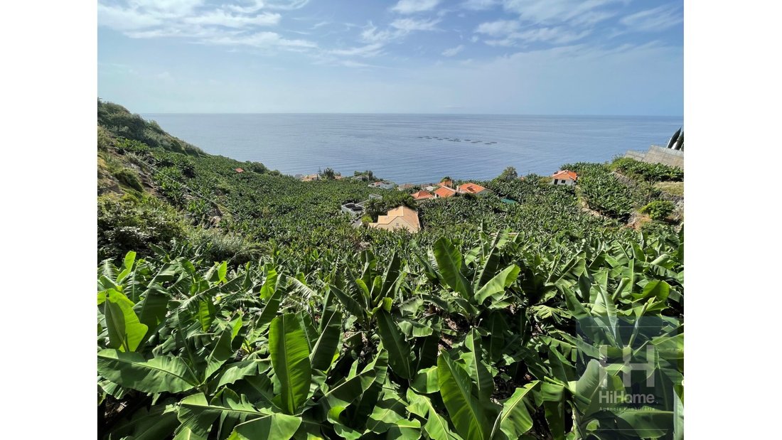 Land in Arco da Calheta, Autonome Region Madeira, Portugal 1 - 14065954