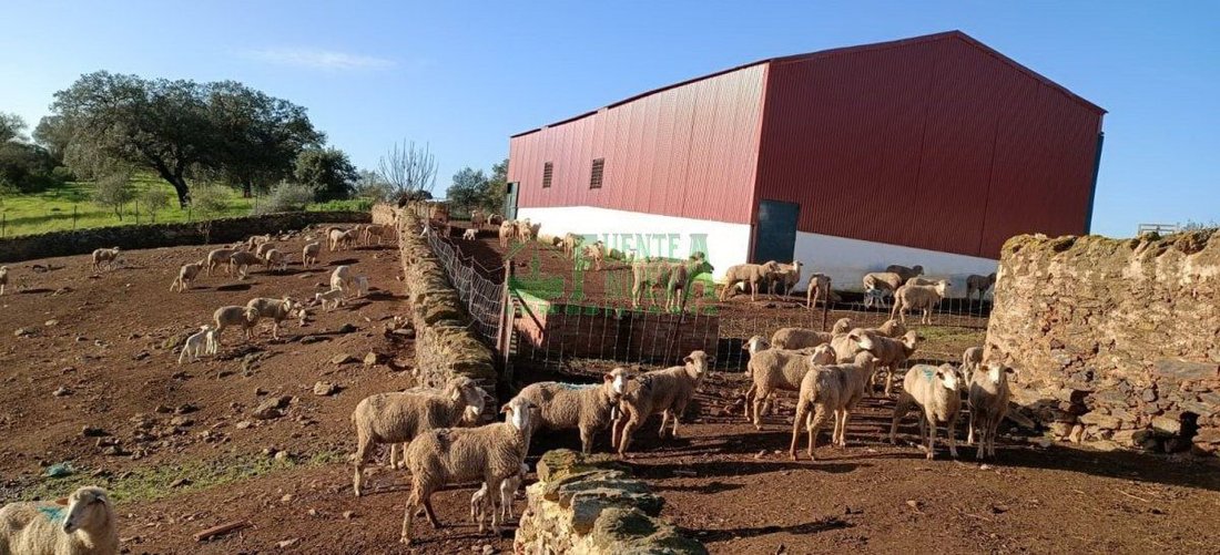 Finca in Aracena, Andalusia, Spain 4 - 15746635