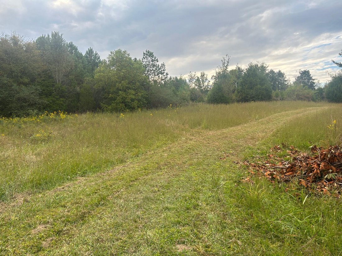 Land in Athens, Tennessee, United States 3 - 15746001