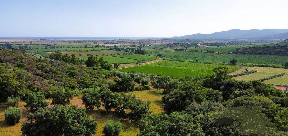 Farm Ranch in Tirli-Vetulonia-Buriano, Castiglione della Pescaia, Tuscany 4 - 13500470