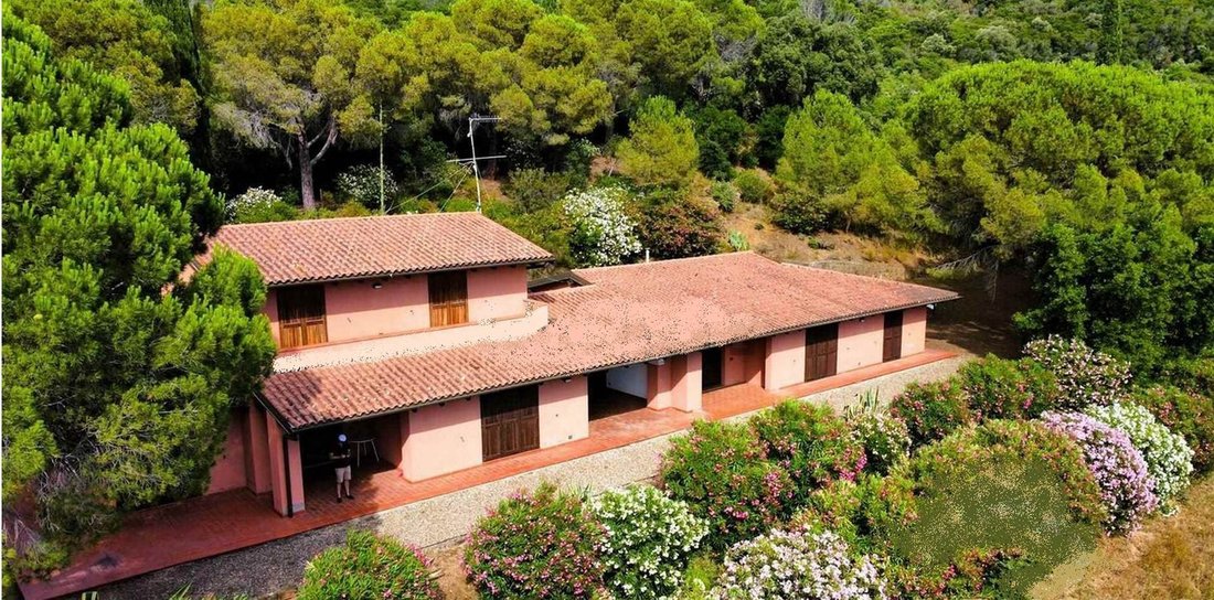 Farm Ranch in Tirli-Vetulonia-Buriano, Castiglione della Pescaia, Tuscany 5 - 13500470
