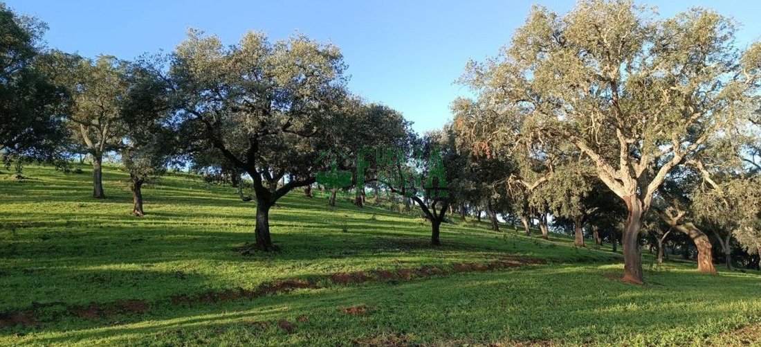 Finca in Aracena, Andalusia, Spain 1 - 15746635
