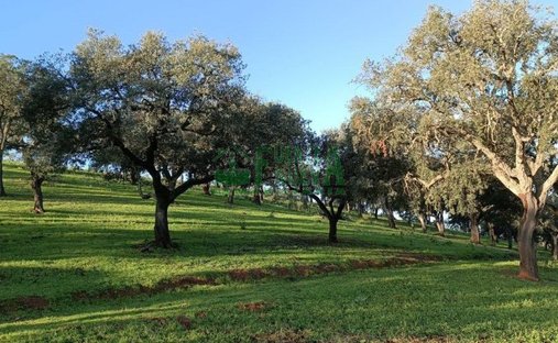 Finca en Aracena, Andalucía, España 1