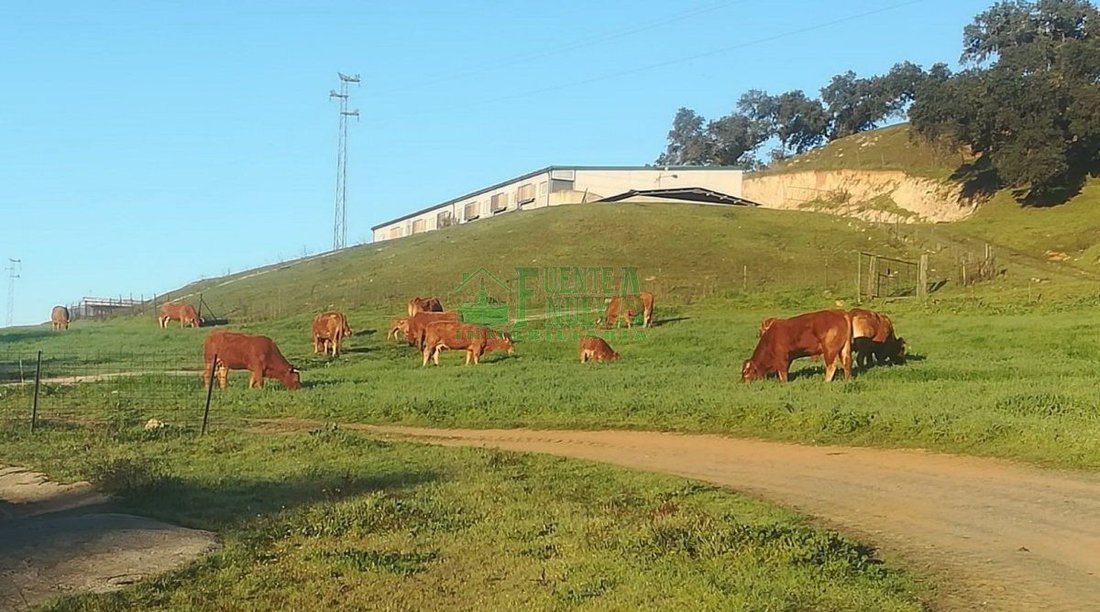 Finca in Aracena, Andalusia, Spain 2 - 15746635