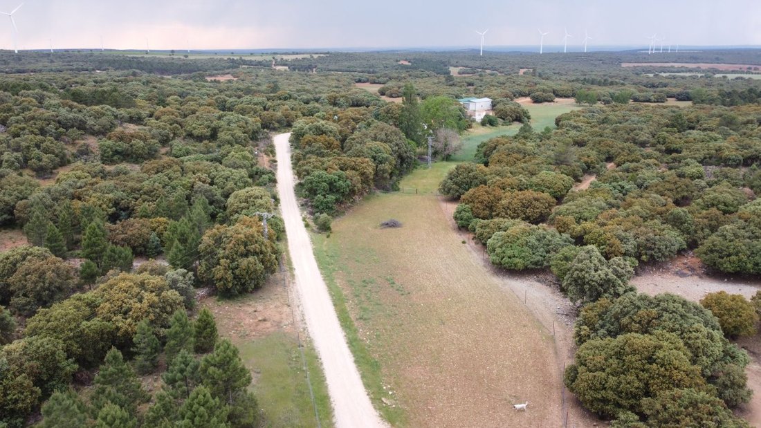 Farm Ranch in Masegoso, Castile-La Mancha, Spain 5 - 15746604