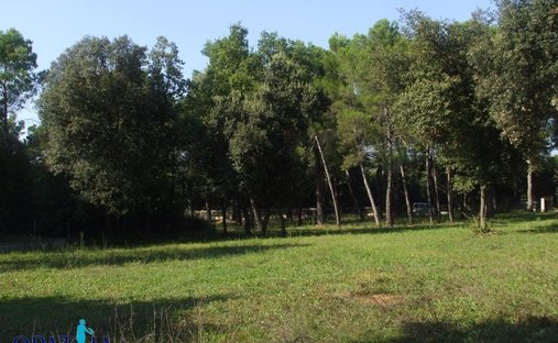 Land in Rovinj, Istria County, Croatia 1