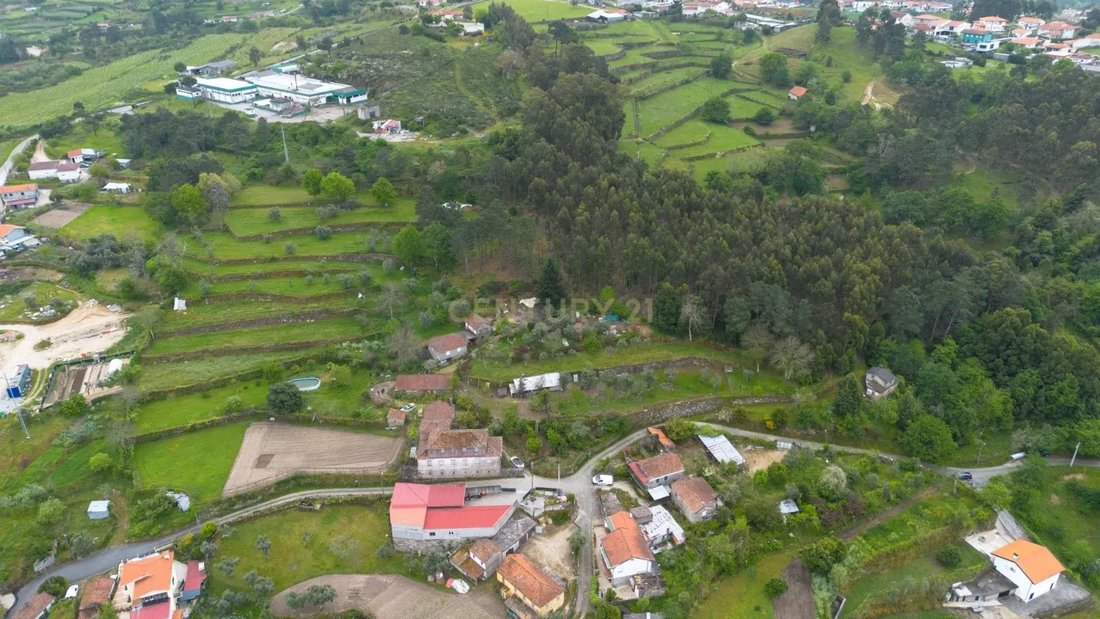 Farm Ranch in Soalhaes, Porto District, Portugal 3 - 15748581