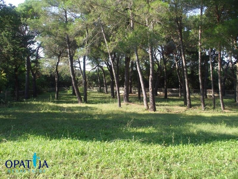 Land in Rovinj, Istria County, Croatia 2 - 15146645