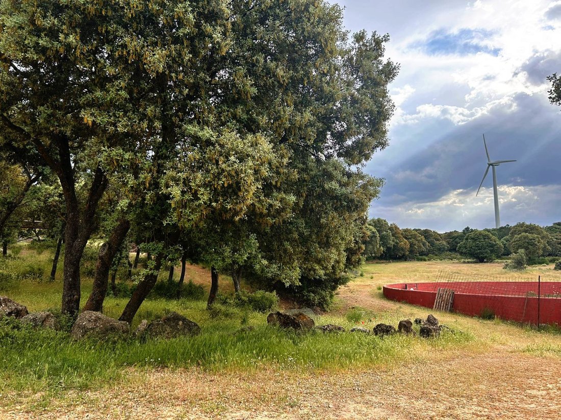 Farm Ranch in Masegoso, Castile-La Mancha, Spain 3 - 15746604