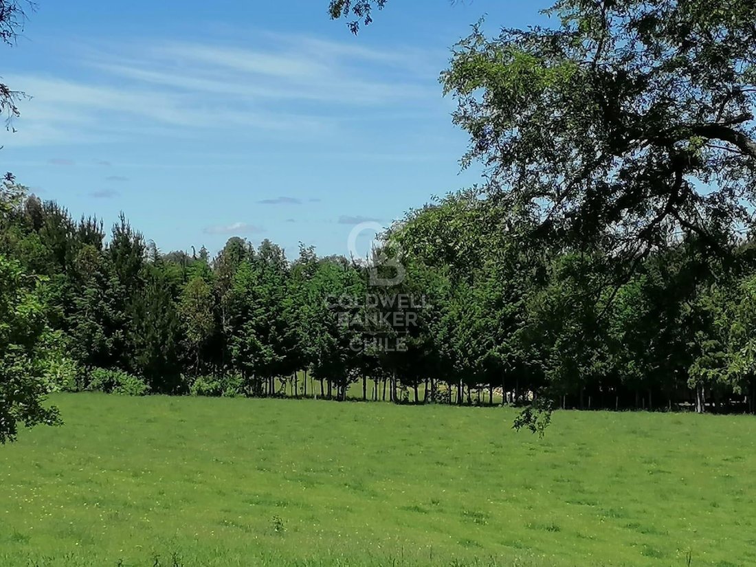 Estate in Purranque, Los Lagos, Chile 5 - 15745566