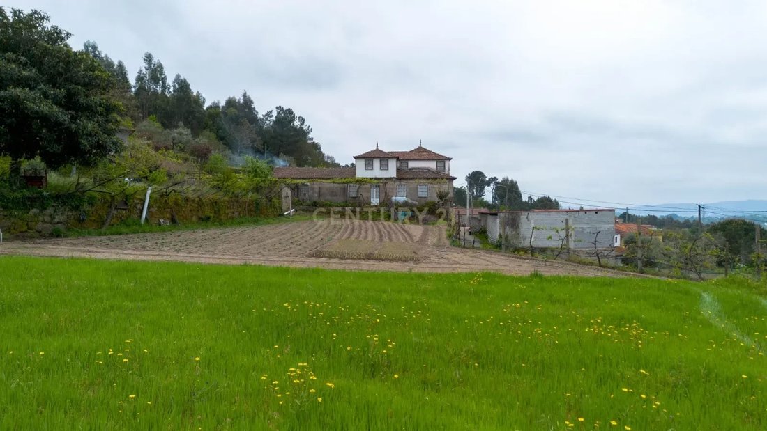 Farm Ranch in Soalhaes, Porto District, Portugal 2 - 15748581