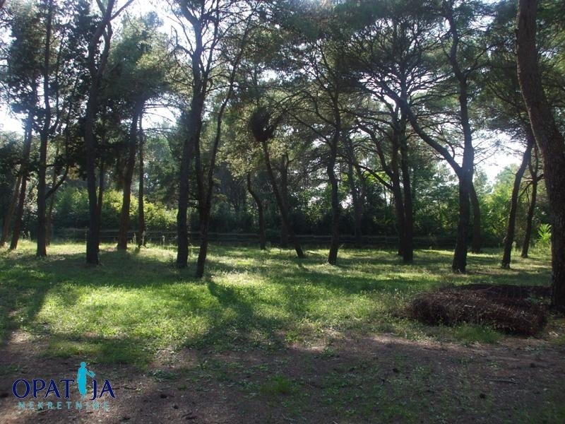 Land in Rovinj, Istria County, Croatia 5 - 15146645