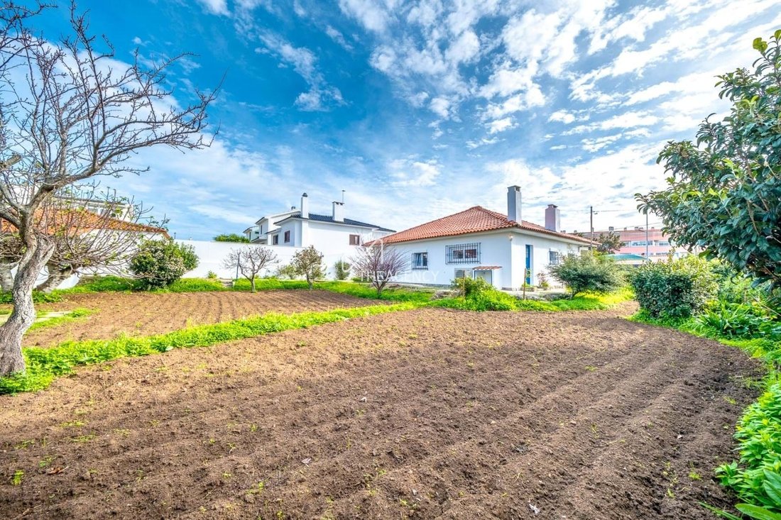 Villa in Alcabideche, Lisbon, Portugal 1 - 15746666