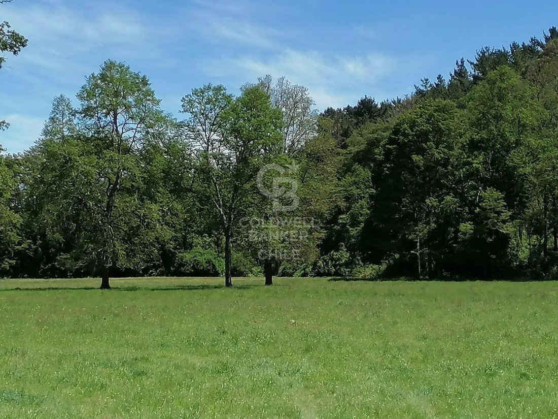 Estate in Purranque, Los Lagos, Chile 4 - 15745566