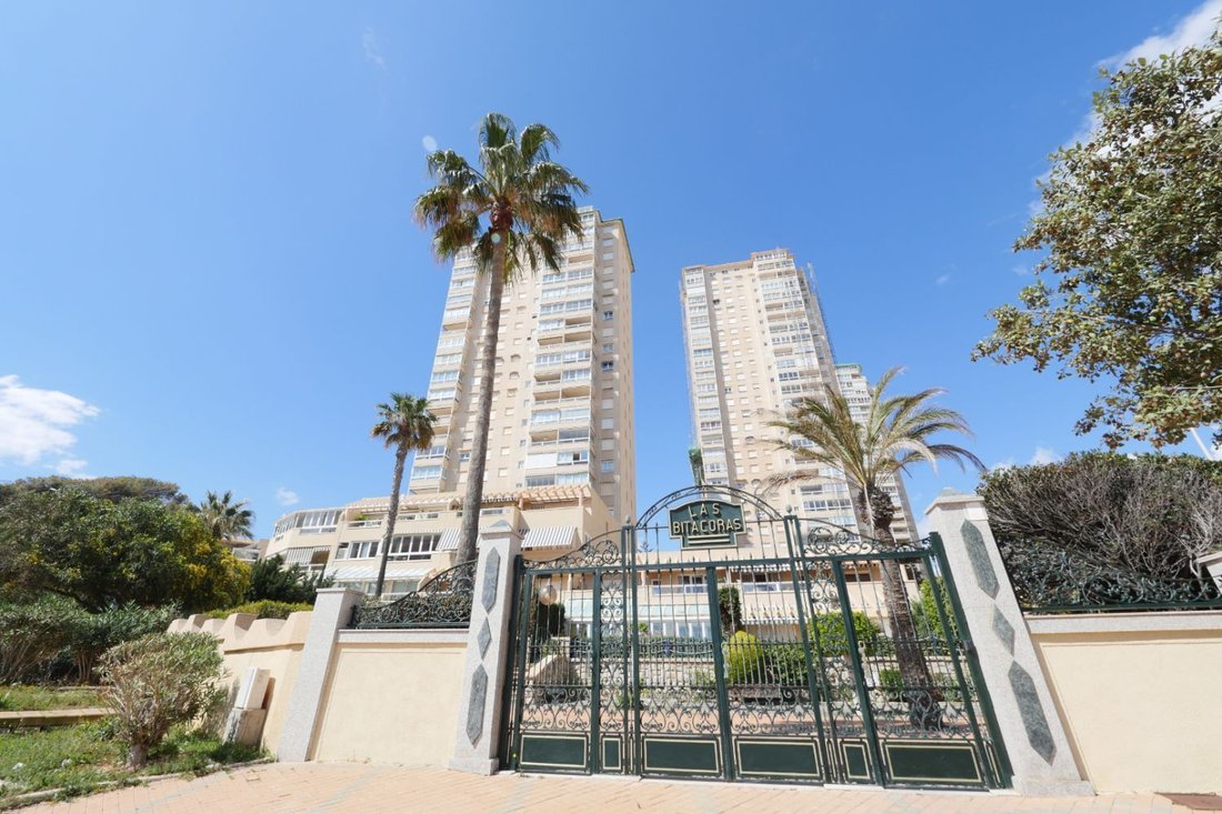 Apartment in el Campello, Valencian Community, Spain 2 - 15556606