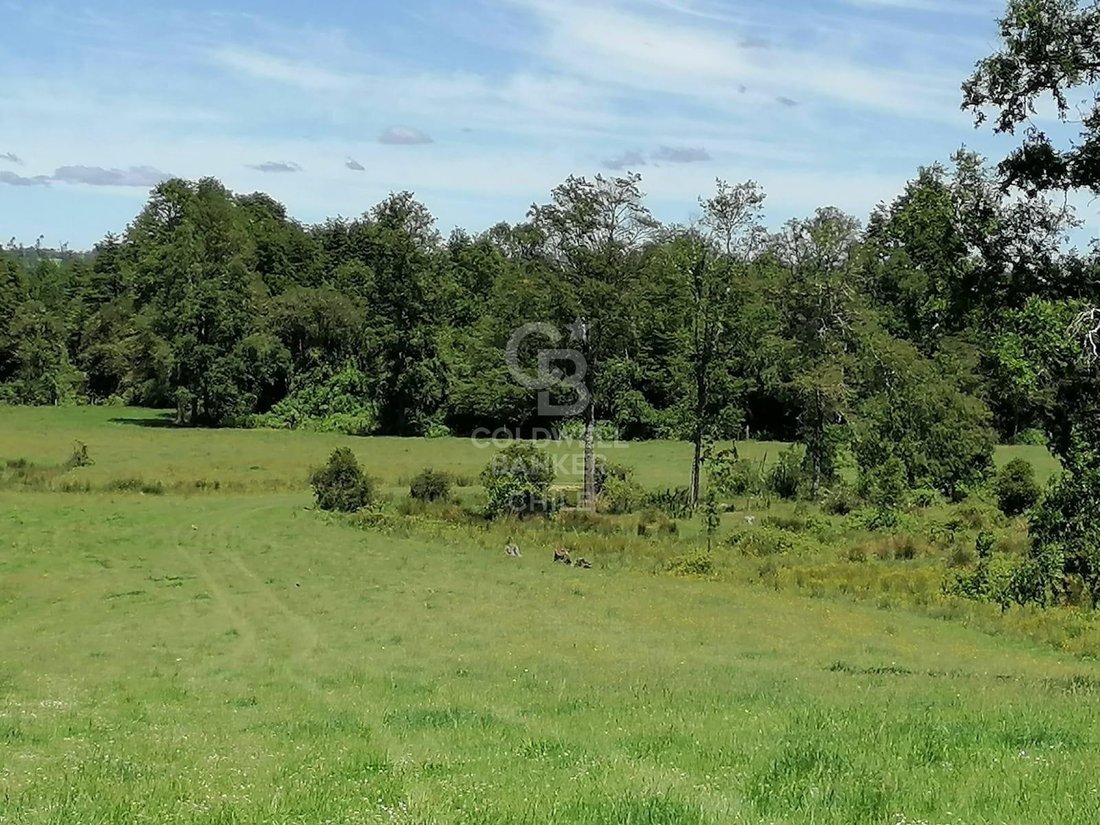 Estate in Purranque, Los Lagos, Chile 3 - 15745566