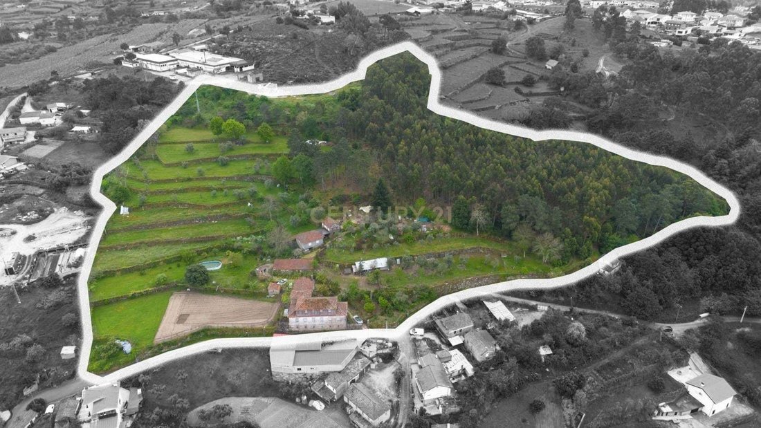 Farm Ranch in Soalhaes, Porto District, Portugal 4 - 15748581