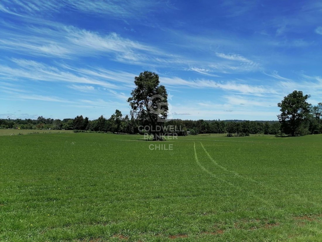 Estate in Purranque, Los Lagos, Chile 1 - 15745566